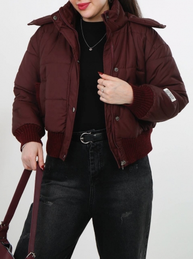 زرشکی تیره 1