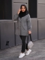 طوسی 2