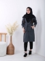 طوسی تیره 2