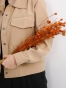 نسکافه ای 3