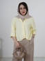 زرد کره ای 2