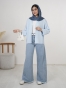 آبی پودری 2