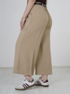 کرم تیره 2
